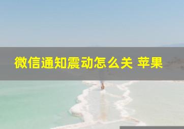 微信通知震动怎么关 苹果